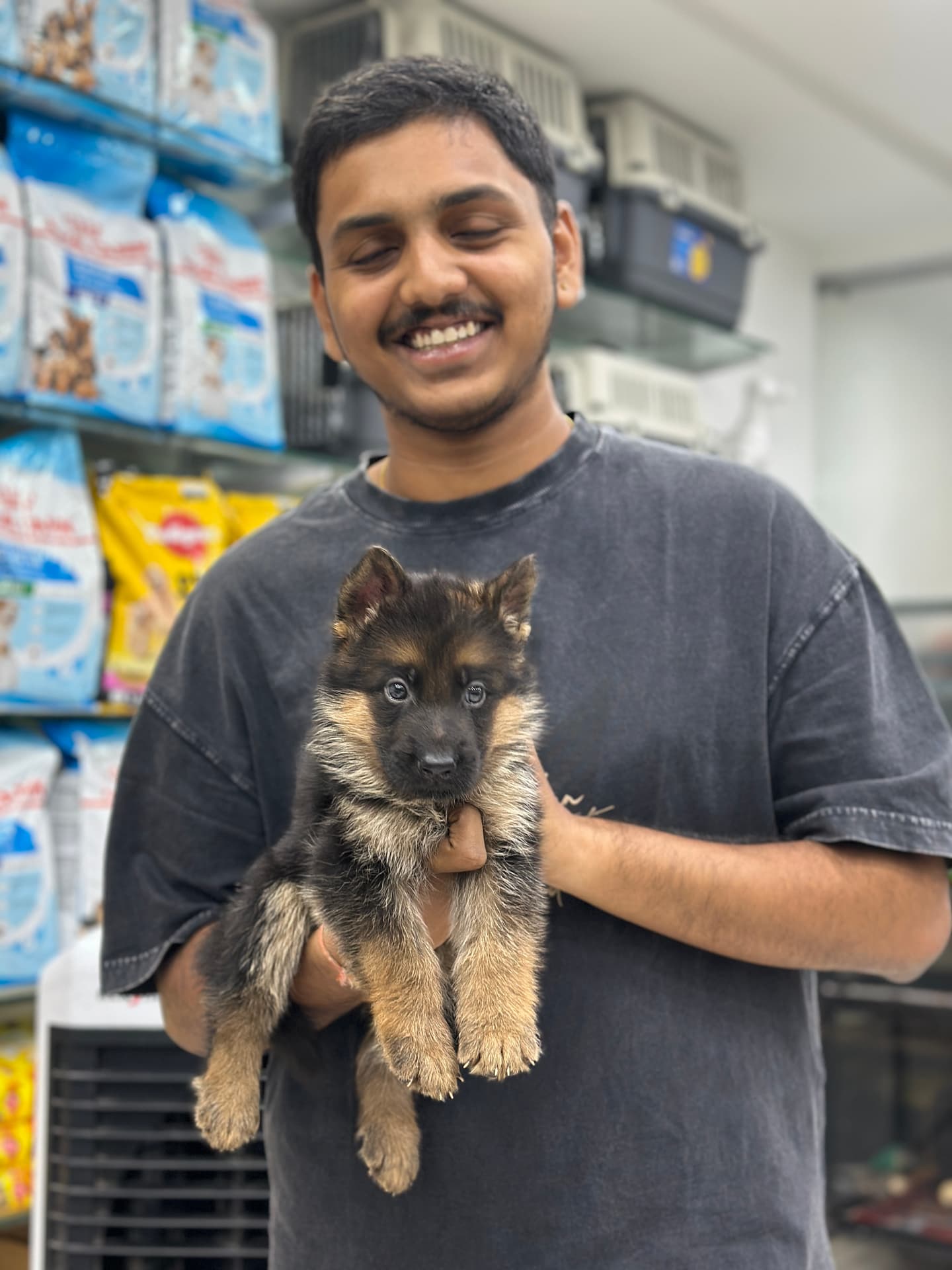 German Shepherd at Danny Pet Store - Photo 1