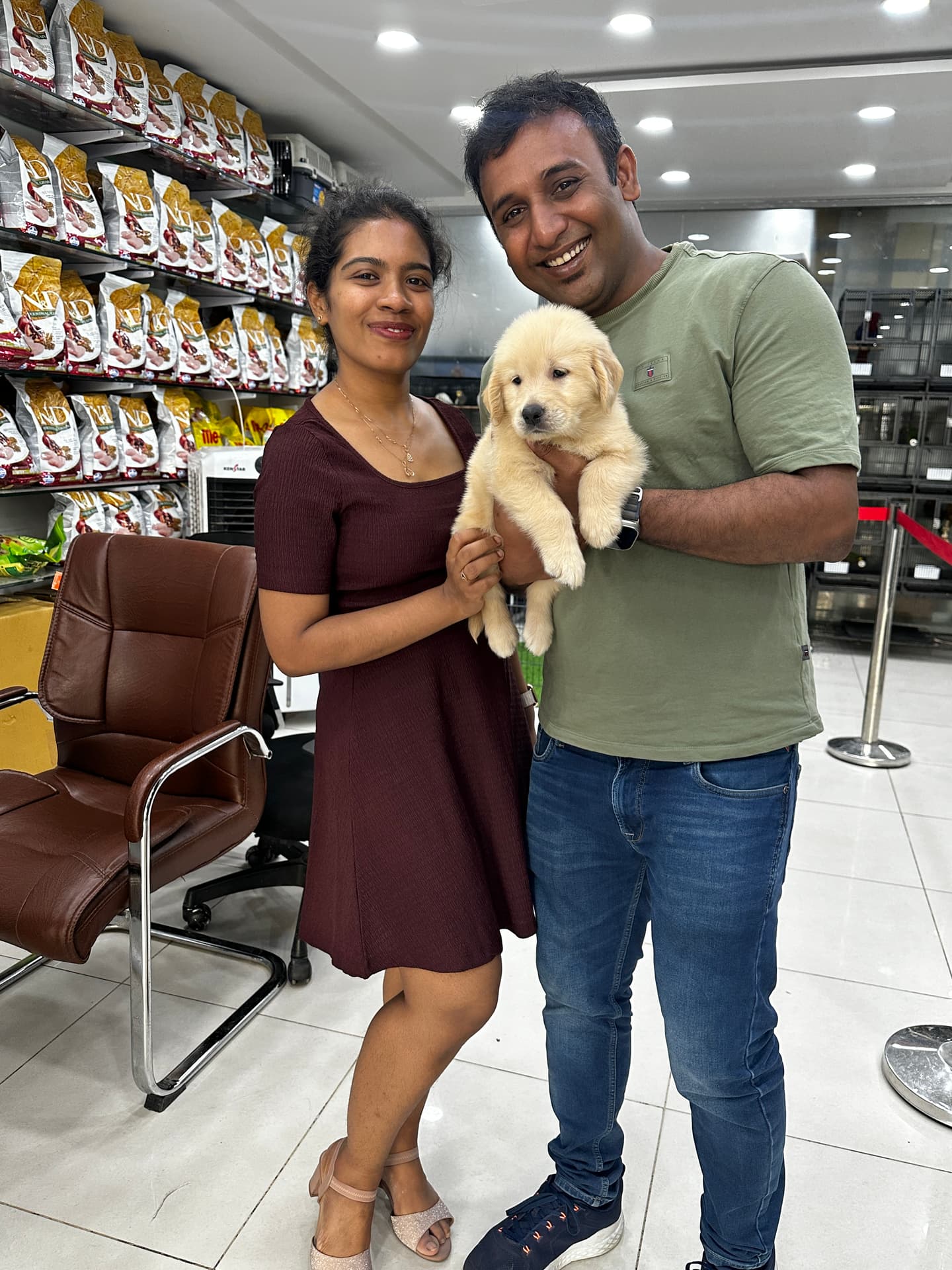 Golden Retriever at Danny Pet Store - Photo 20