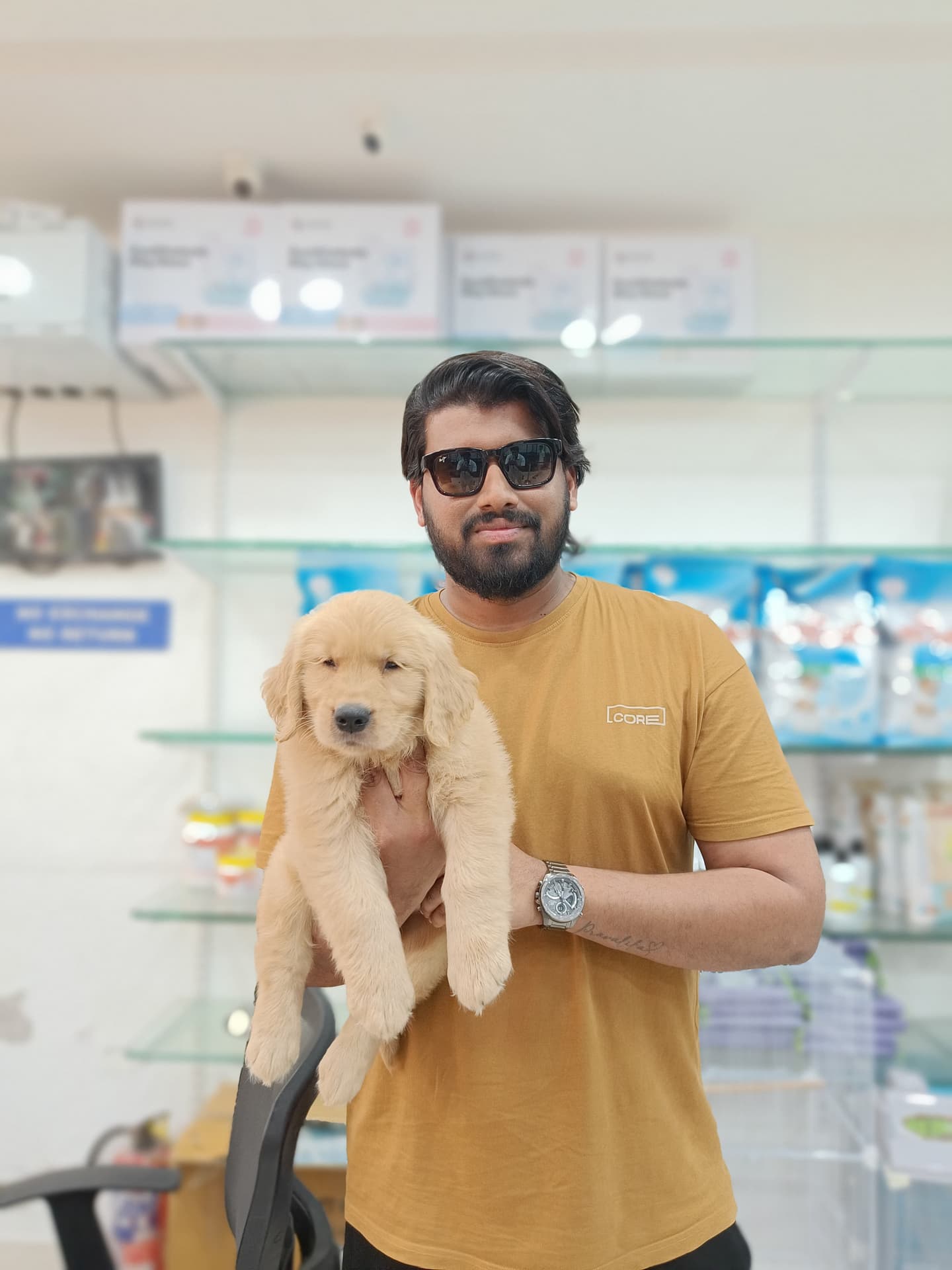 Golden Retriever at Danny Pet Store - Photo 18