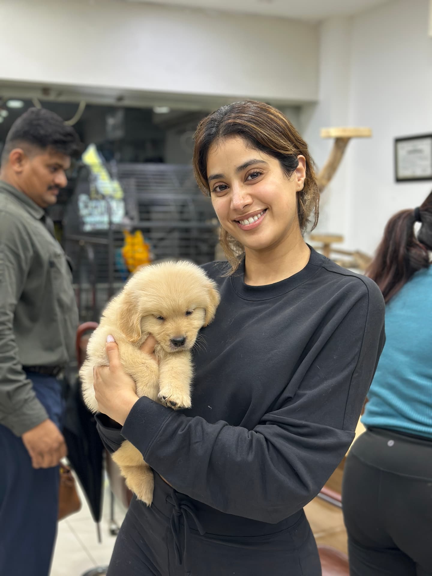 Golden Retriever at Danny Pet Store - Photo 10