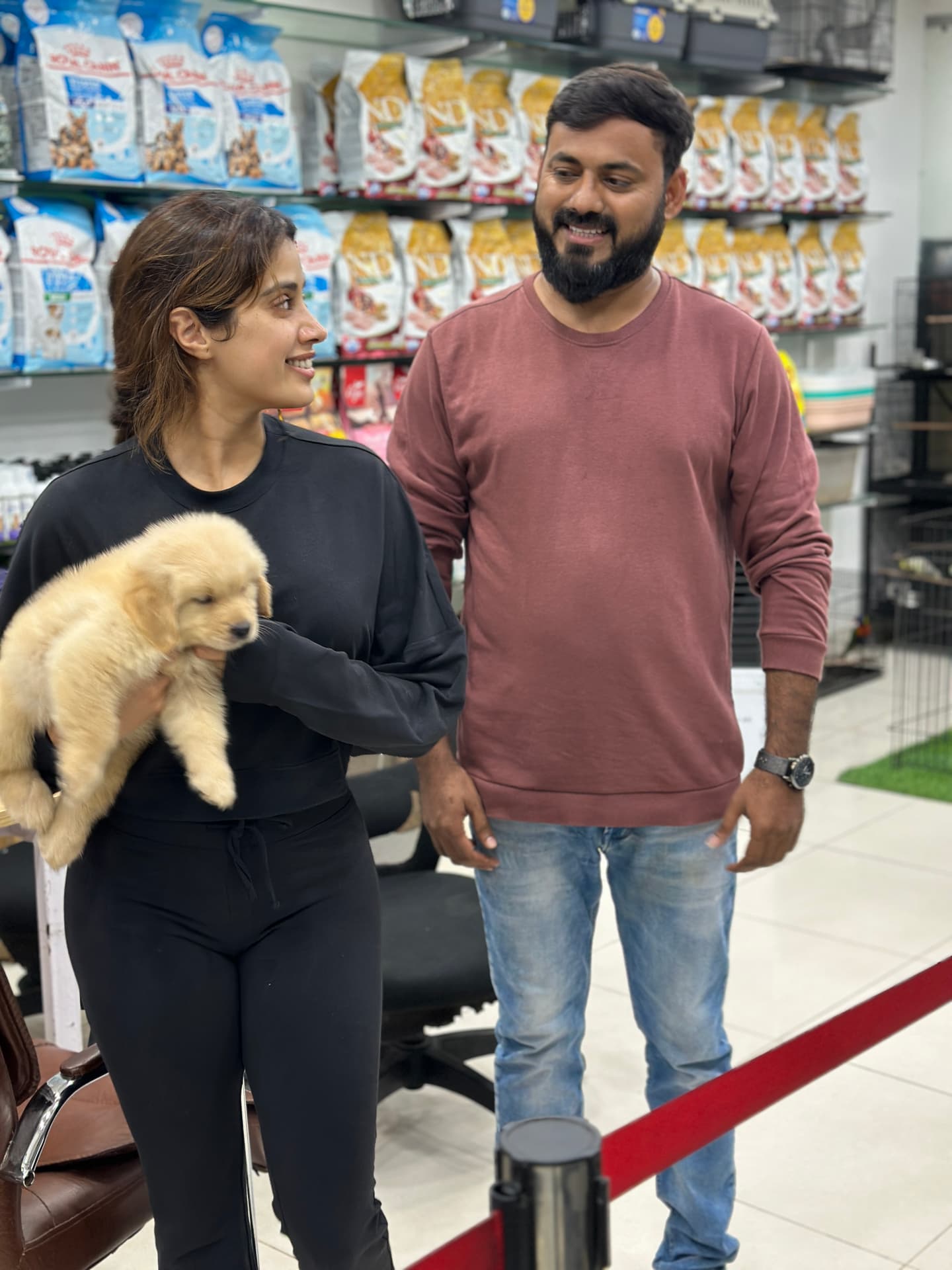 Golden Retriever at Danny Pet Store - Photo 17