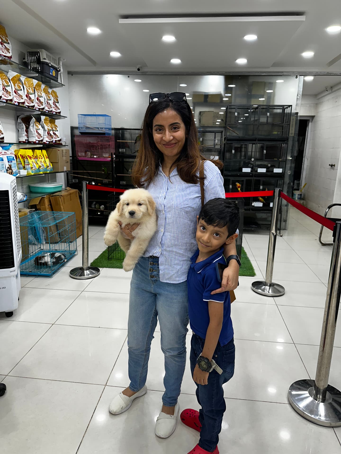 Maltese at Danny Pet Store - Photo 1