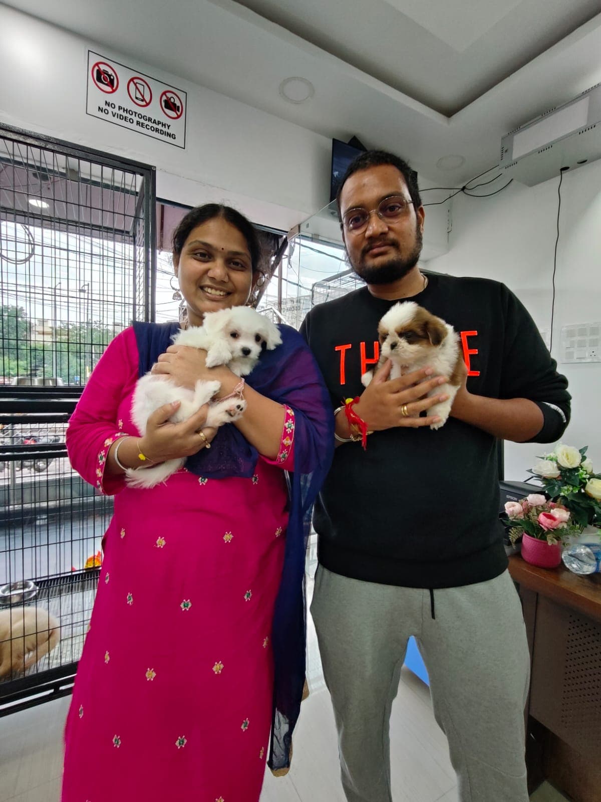 Shih Tzu at Danny Pet Store - Photo 7