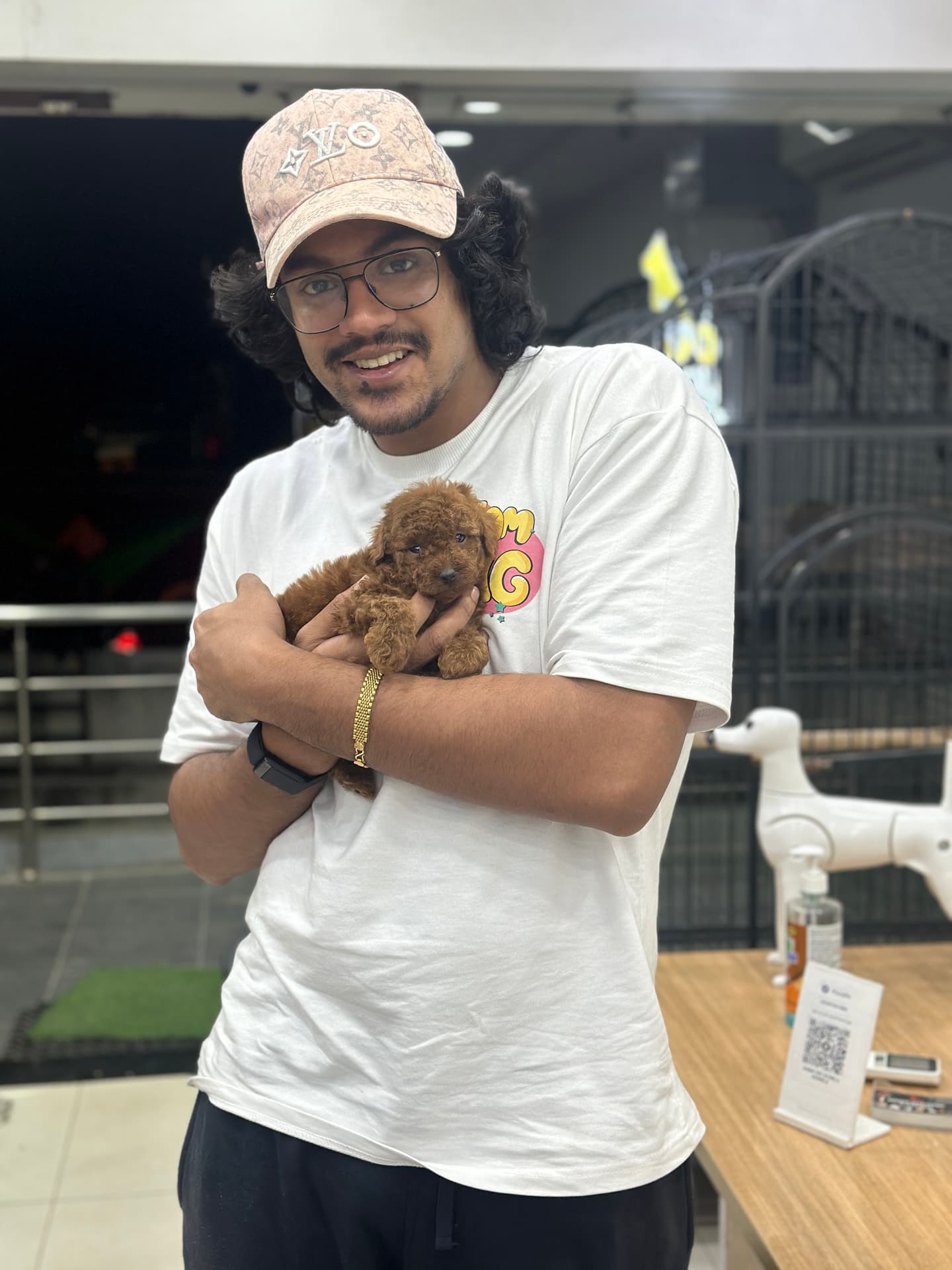 Poodle at Danny Pet Store - Photo 17