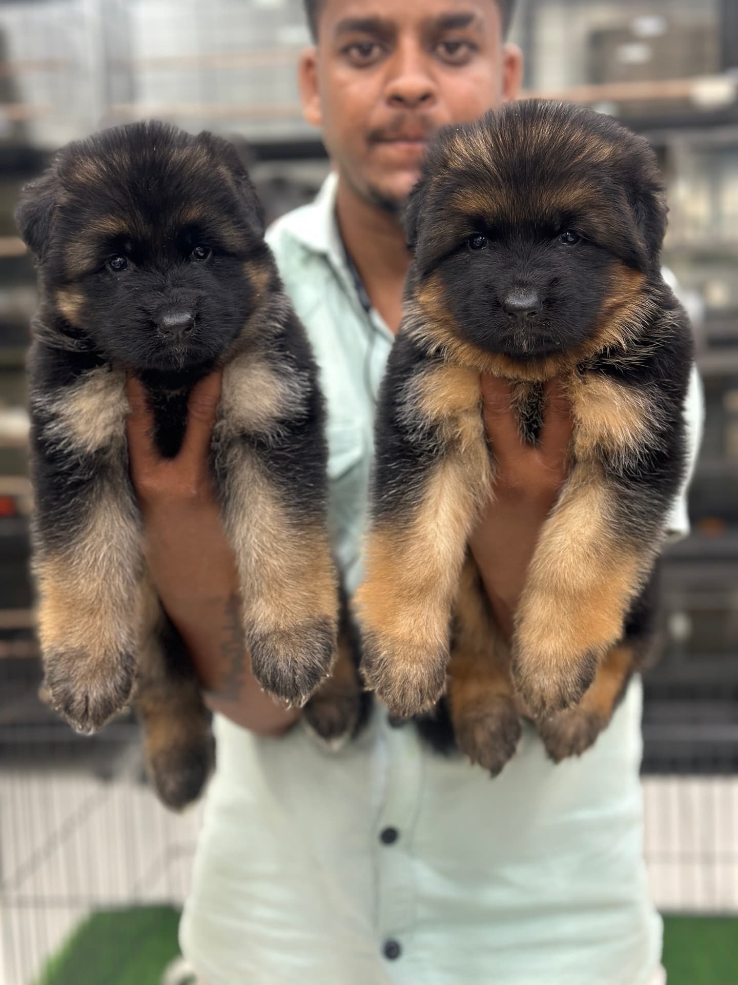 Happy Danny Pet Store family